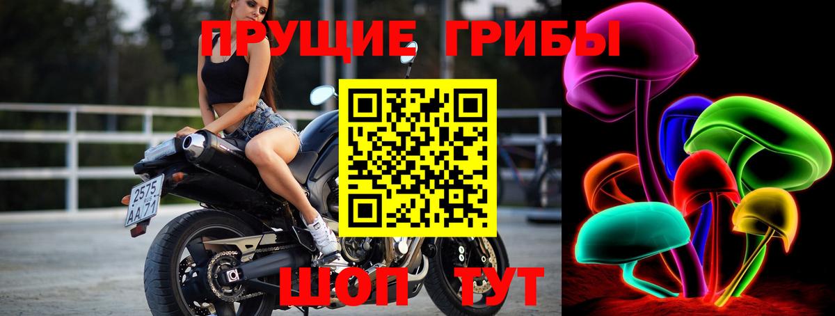 Псилоцибиновые грибы MAGIC MUSHROOMS  Вход с VPN  Менделеевск 